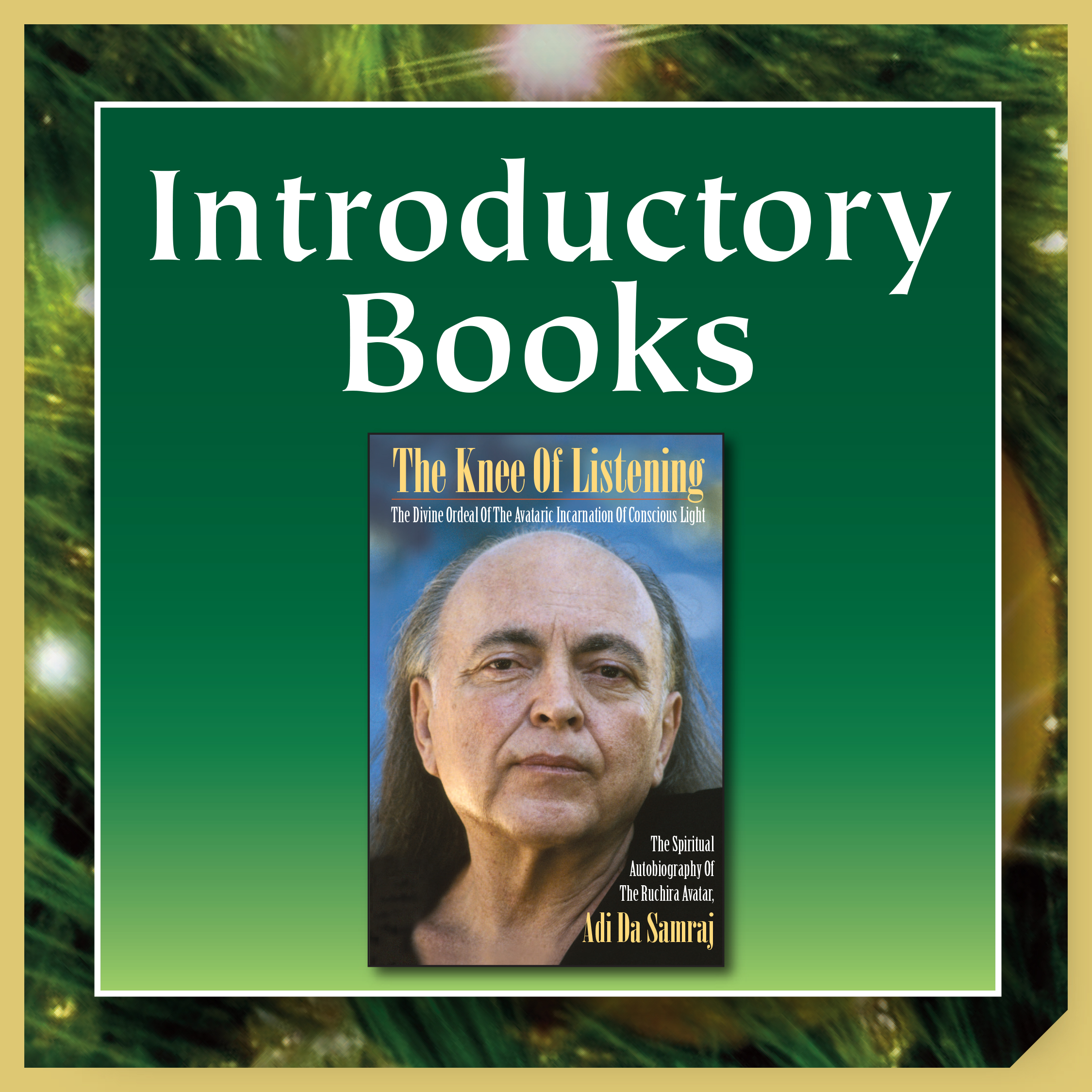 introductory-books